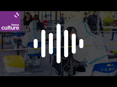 Dominique Salmon-Ceron : « Le Covid long c’est une petite mort invisible »